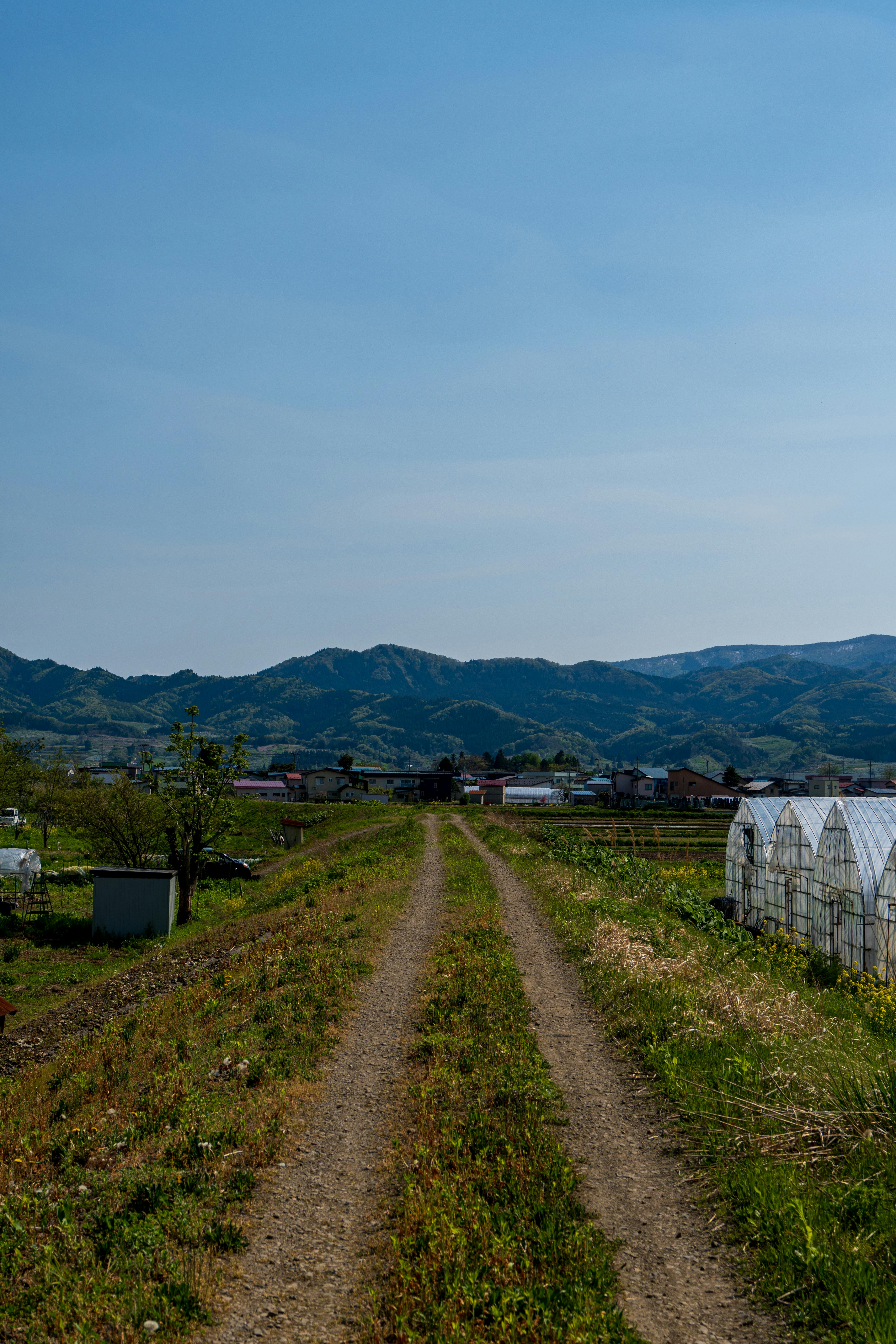 Current image: Photo by Robert Schwarz: https://www.pexels.com/photo/scenic-rural-road-leading-to-mountains-32061234/